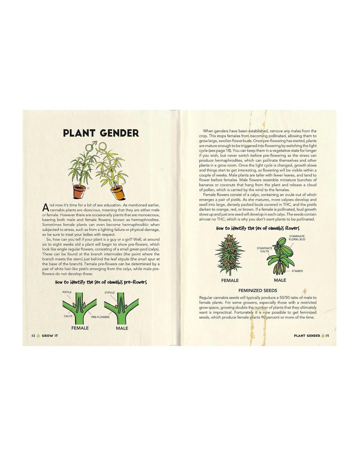 Weed All About it Hardcover Book