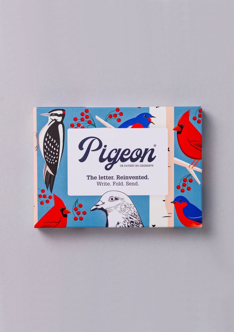 Carnival Of Color Pigeon Letter Pack