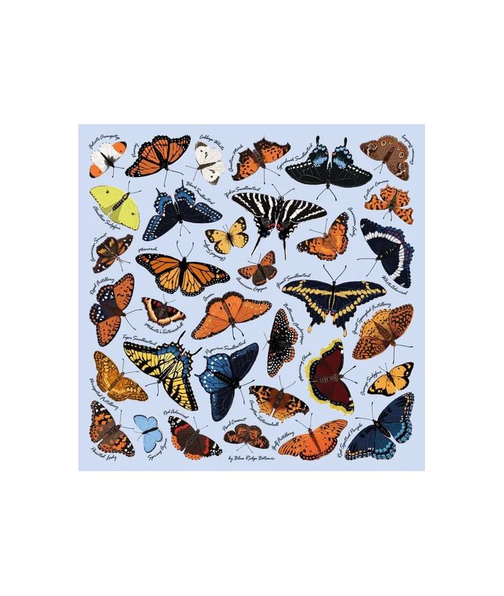 Blue Ridge Botanic Appalachian Butterflies Blue Bandana