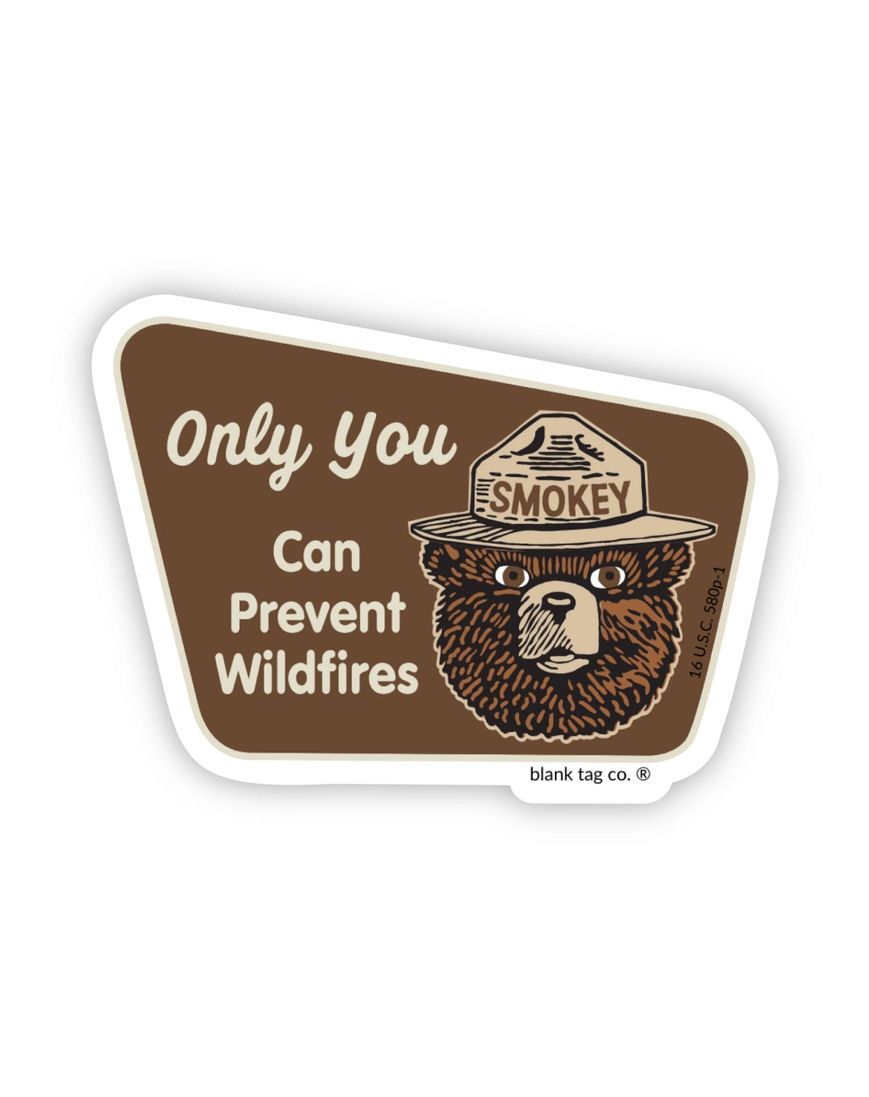 Smokey Bear Only You Can Prevent Wildfires