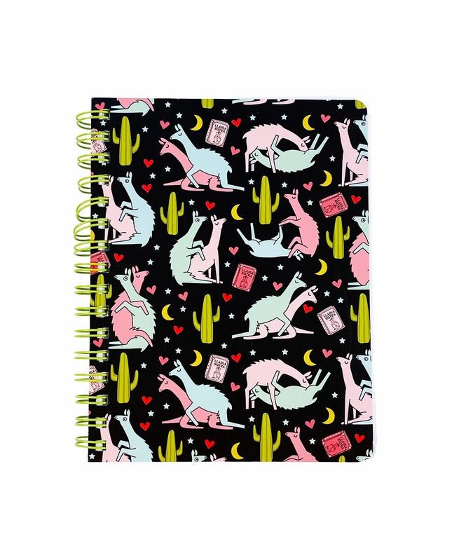 Llama Sutra Notebook