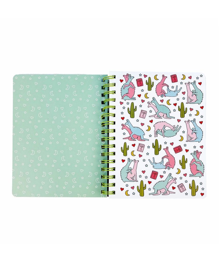 Llama Sutra Notebook