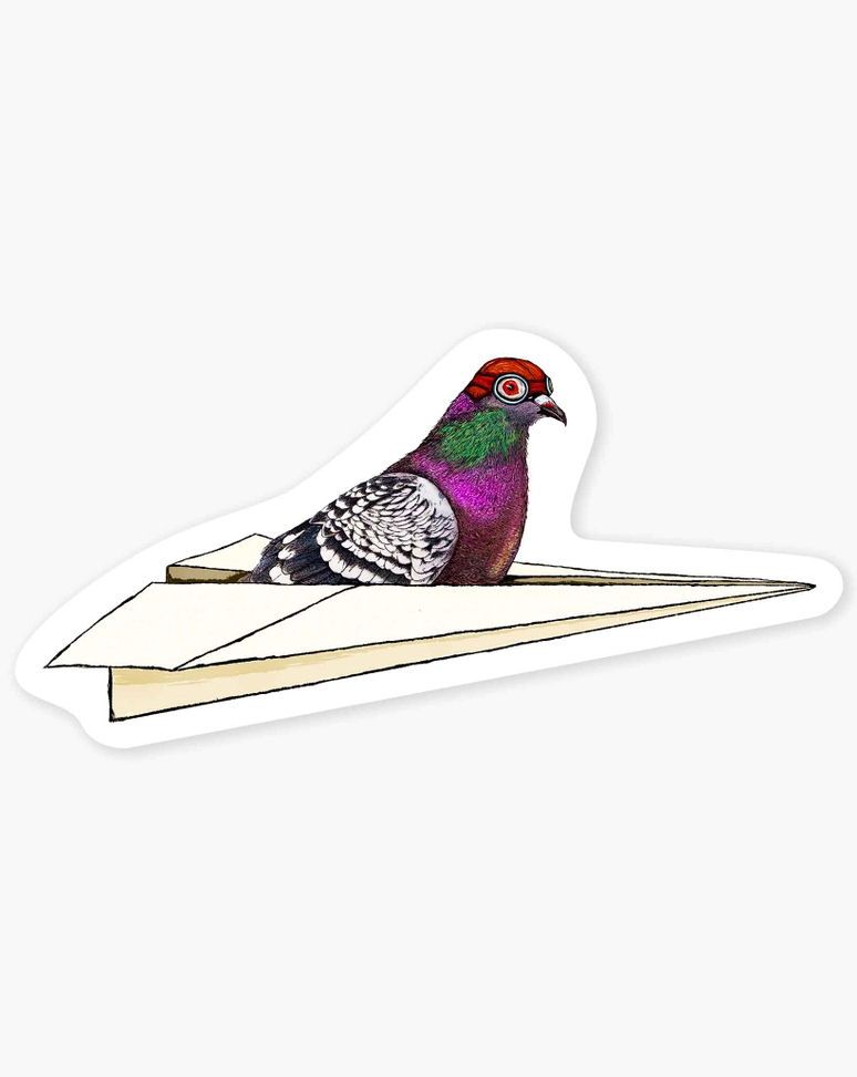 Pigeon Paper Airplane Sticker