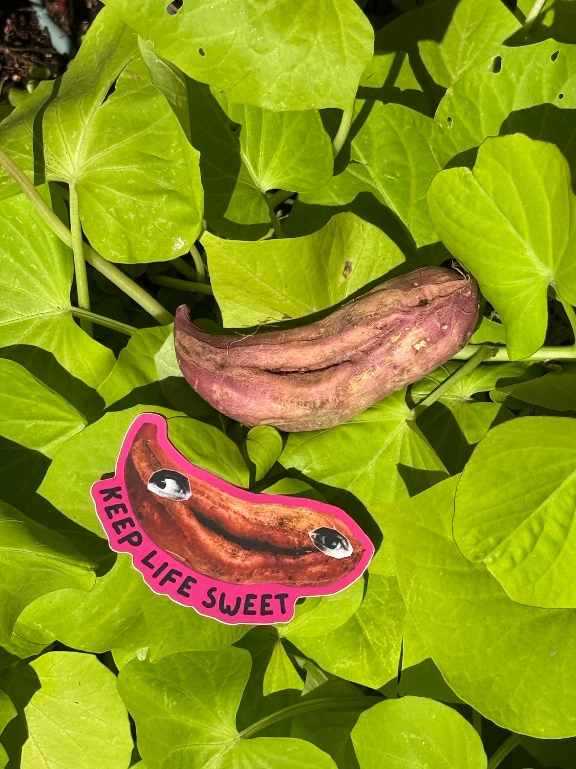 Keep Life Sweet-Potato Sticker