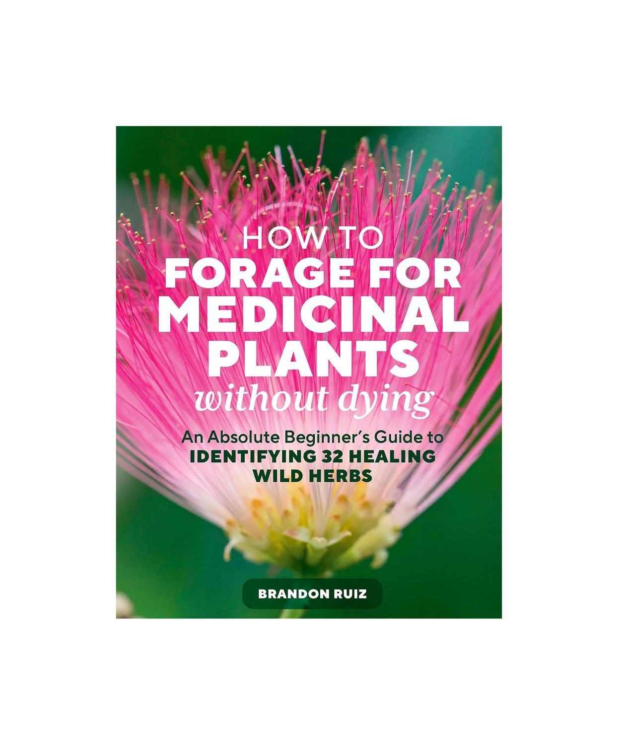 How To Forage For Medicinal Plants Without Dying Paperback Book