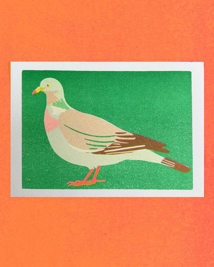 Wood Pigeon A5 Risograph Print