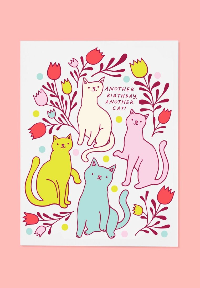 Another Birthday, Another Cat Card