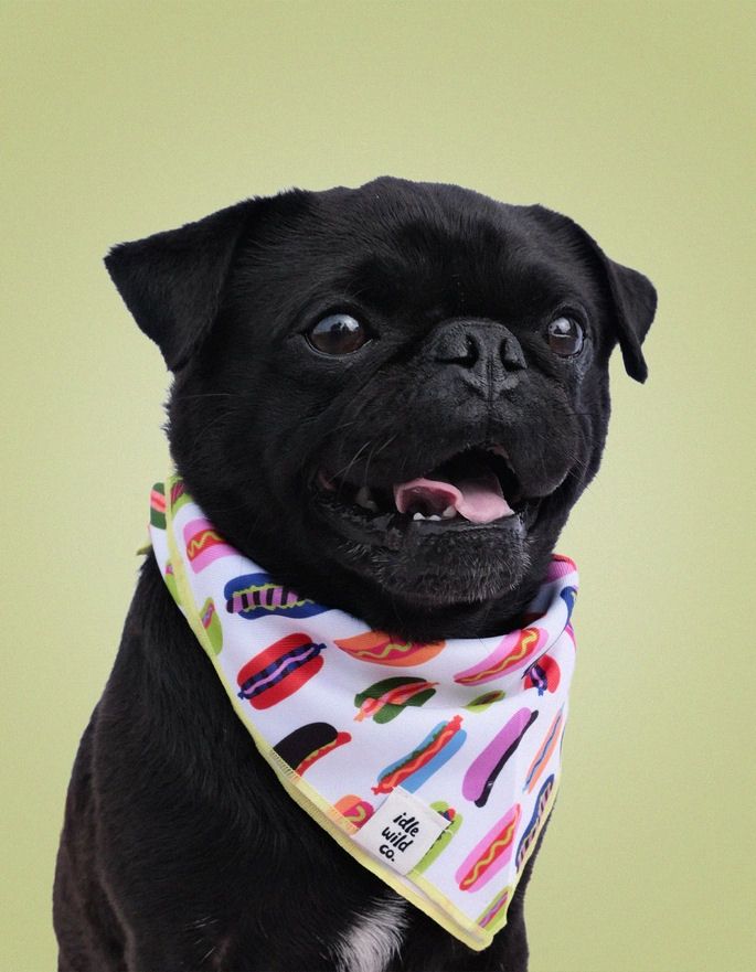 Small Hot Dog Pet Bandana