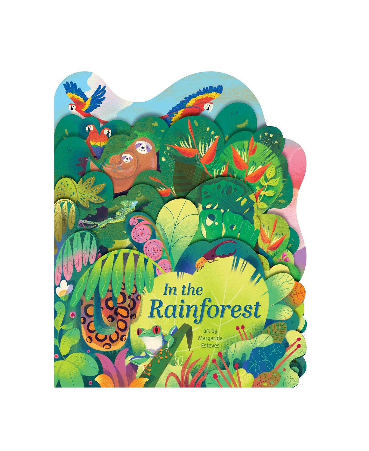 In The Rainforest Board Book