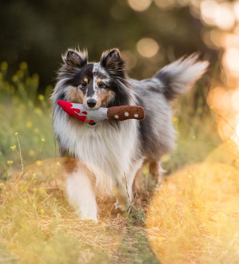 Bloody Dagger Knife Dog Toy