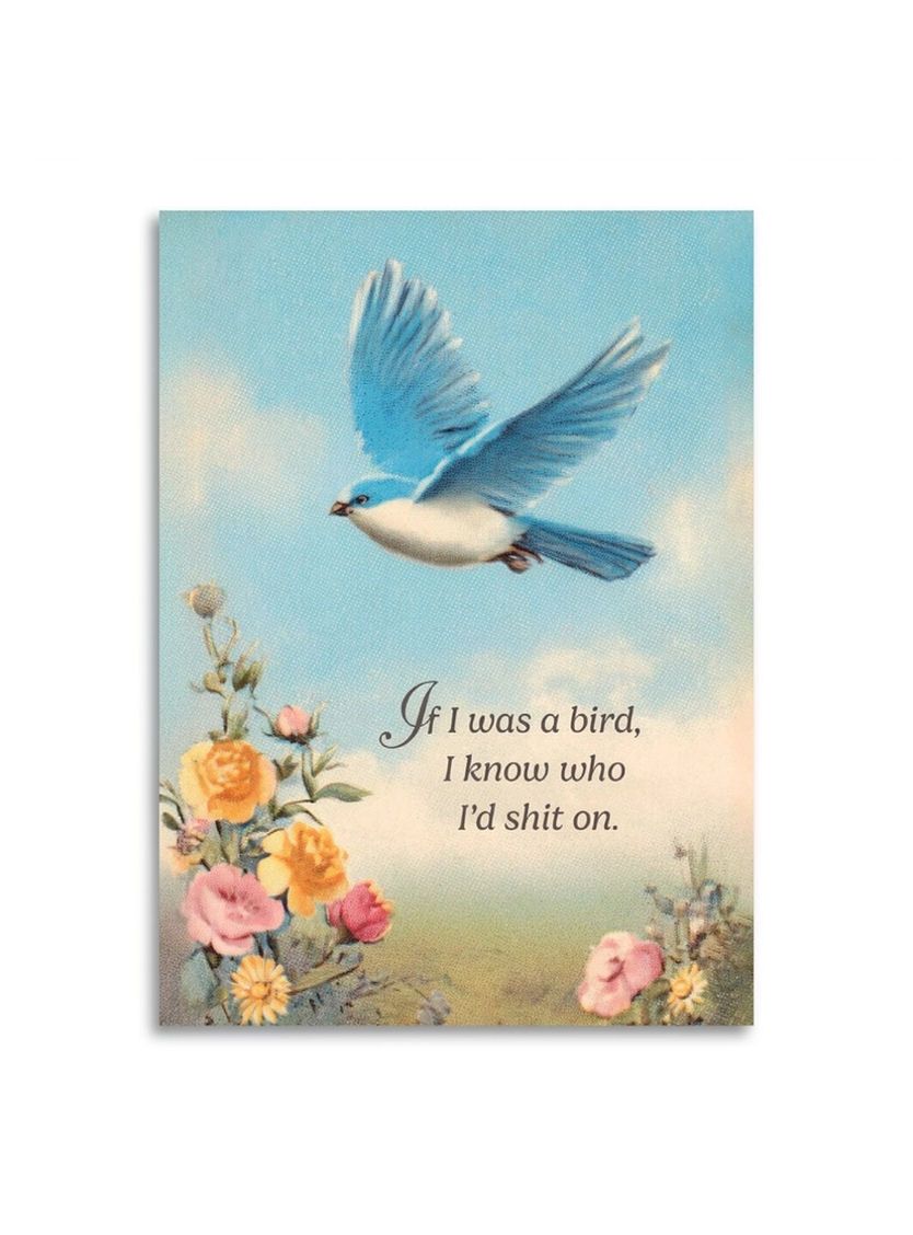 If I Was A Bird, I Know Who I’d Shit On Card