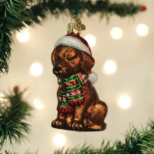 Holiday Chocolate Labrador Puppy