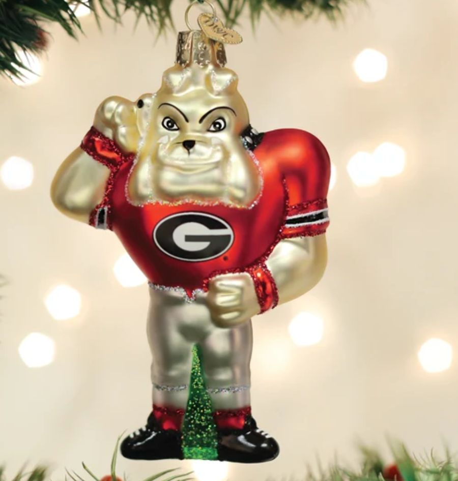 Georgia Hairy Dawg