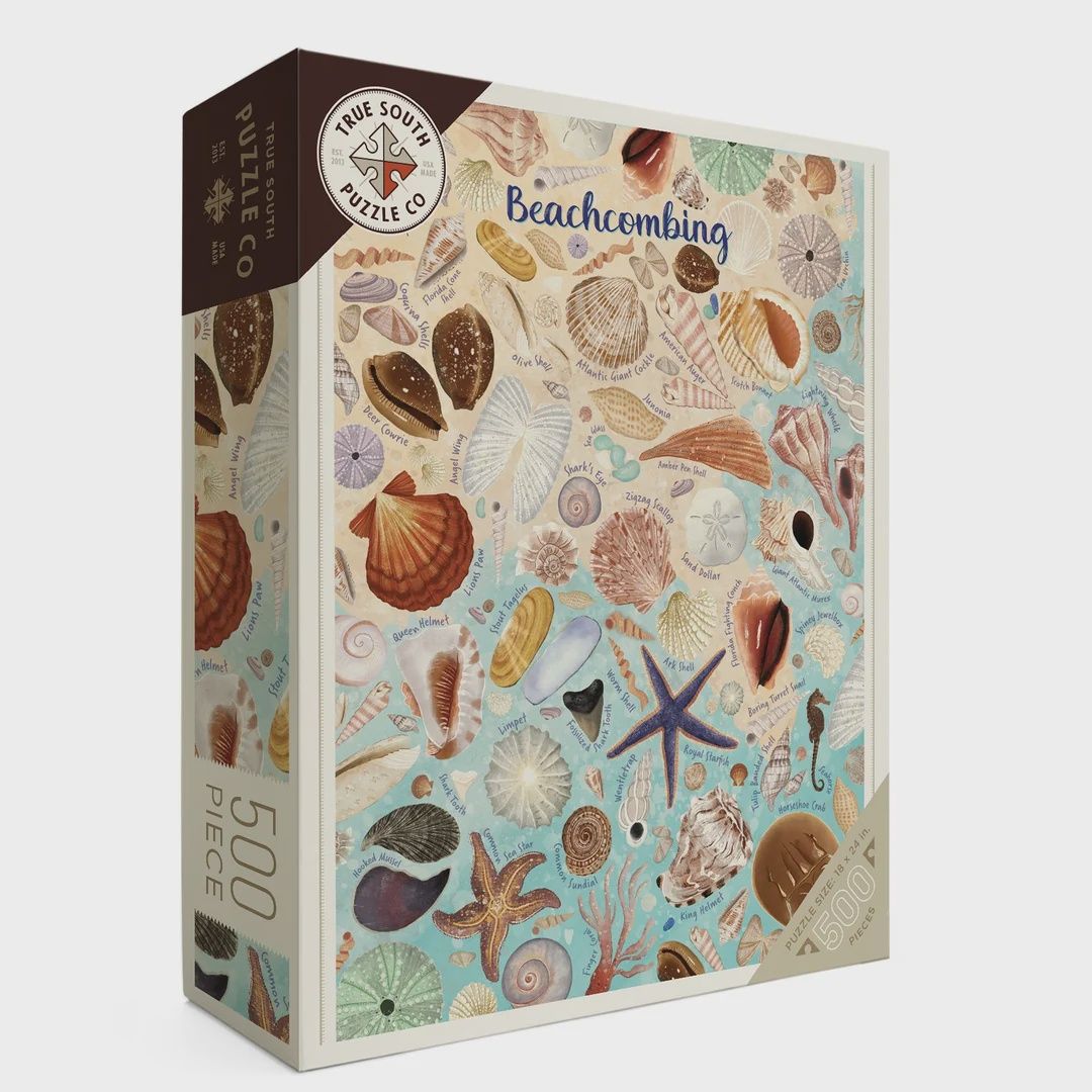 Beachcombing Puzzle