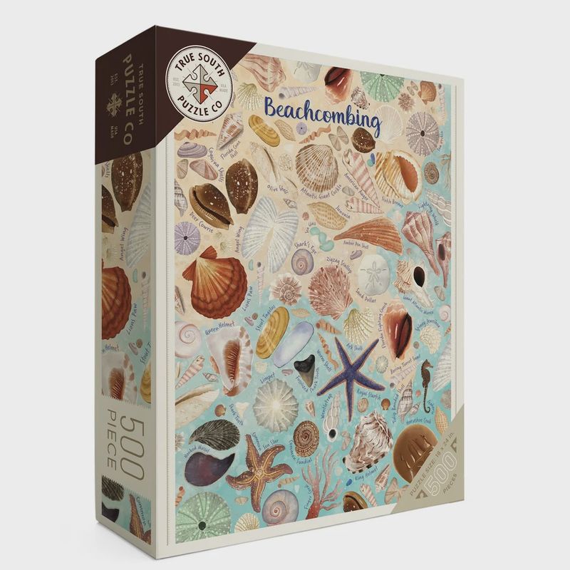 Beachcombing Puzzle
