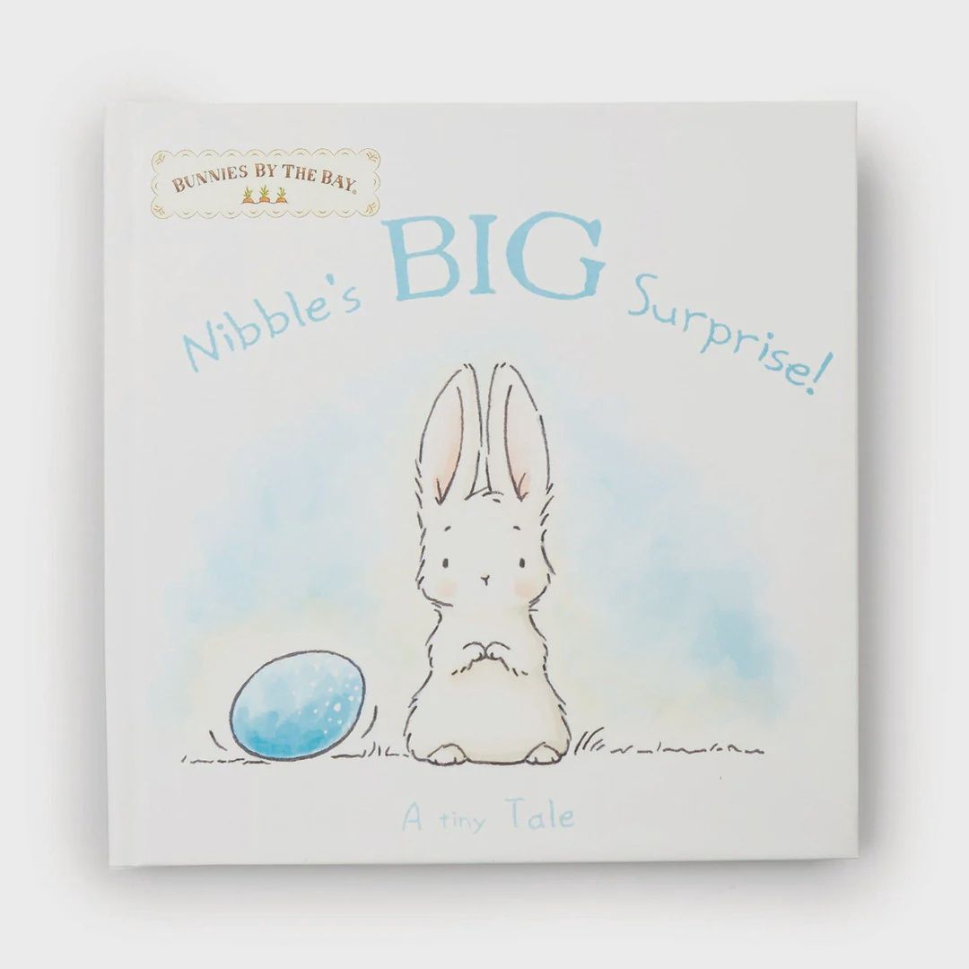 Nibbles Big Surprise Book-100423