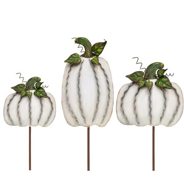 Ribbon Pumpkins-Cream