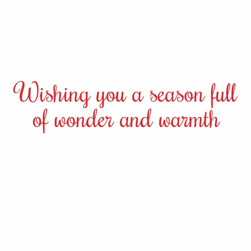 Christmas Shelfie Boxed Cards