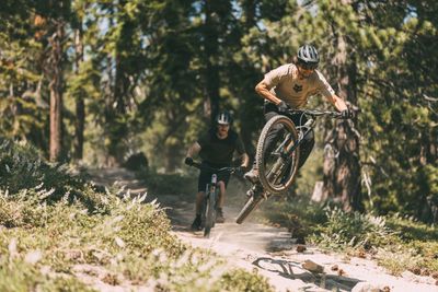 Mountain Bikes