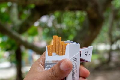 Tobacco Products