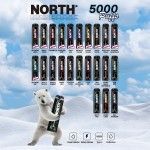 North Vape 5% 5k Disposables
