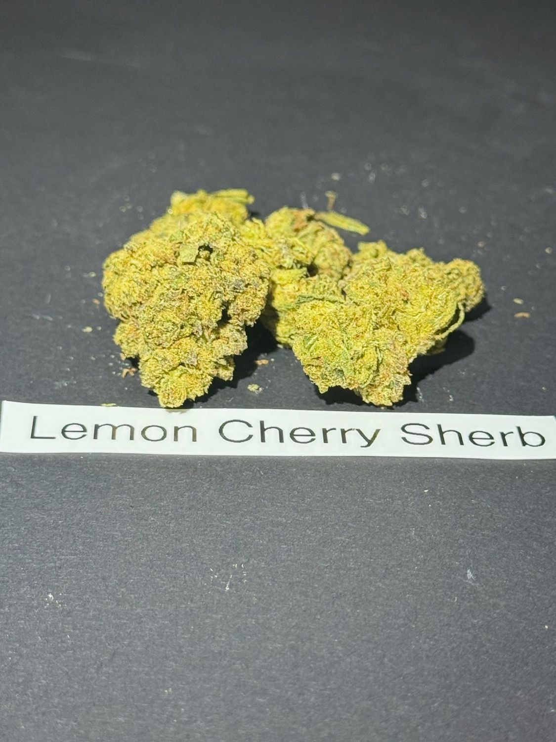 Lemon Cherry Sherb (Hybrid)