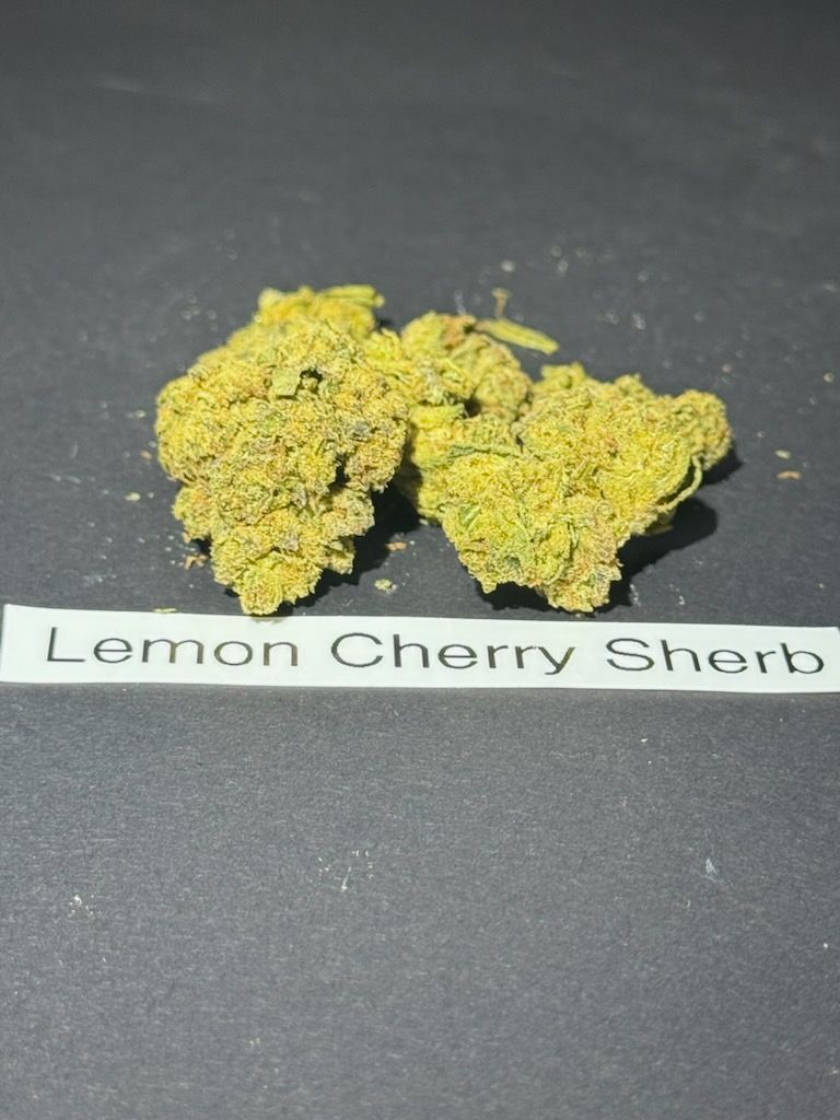 Lemon Cherry Sherb (Hybrid)