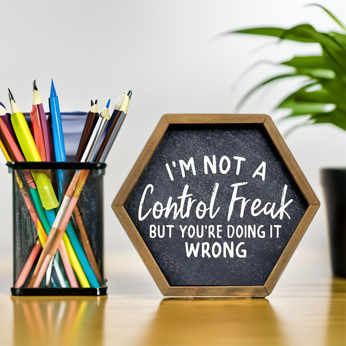 "Control Freak" Hexagon Wood Sign
