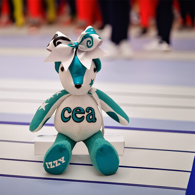 Cheer Extreme Athletics - All Star Bear
