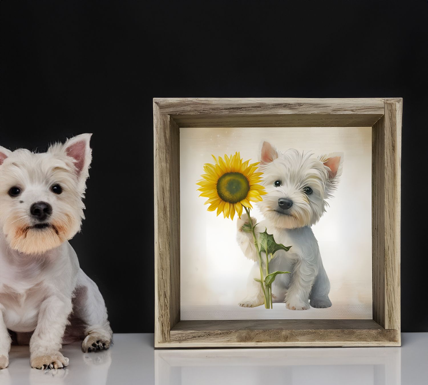 Adorable Westie Puppy with Sunflower Framed Canvas Print | 6" x 6" Rustic Pet Wall Art