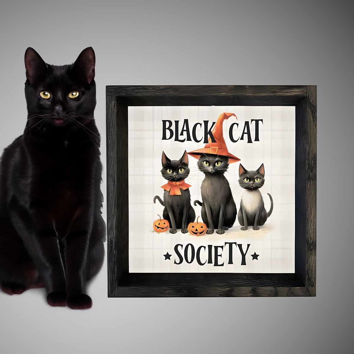 Black Cat Society Halloween Framed Canvas Art | 6" Rustic Wood Sign