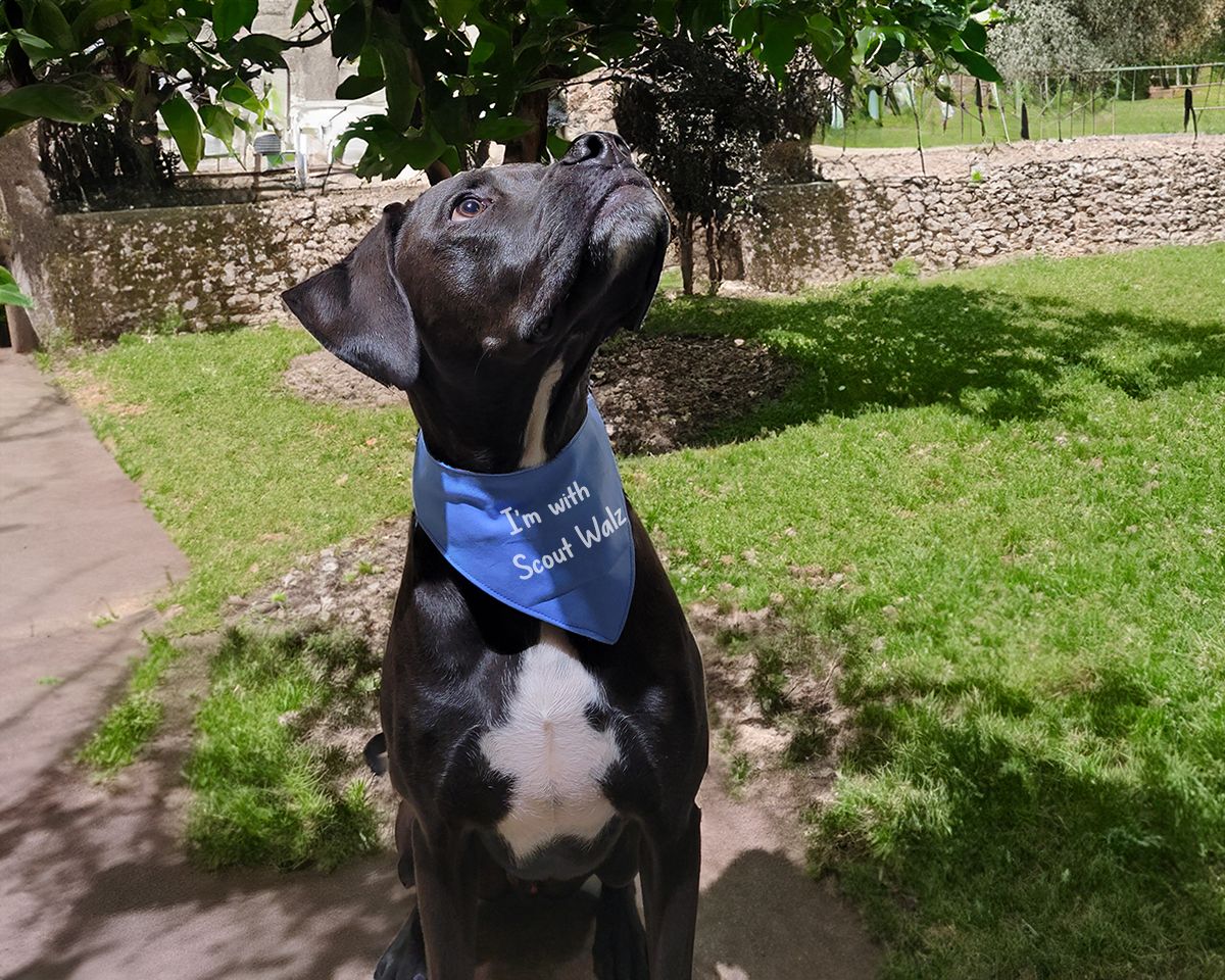 Woof 'n' Meow Mood Doggie Bandana