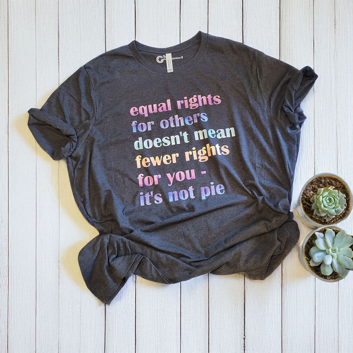 Equal Rights for Others T-Shirt – “It’s Not Pie” Equality Tee (Crew/V‑Neck, S‑3X), Size: Small