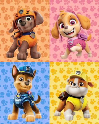 Paw Patrol Magnetic Crew