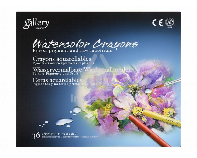 Mungyo Gallery Assorted Watercolor Crayons