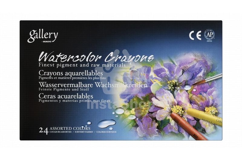 Mungyo Gallery Assorted Watercolor Crayons
