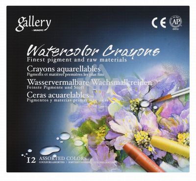 Mungyo Gallery Assorted Watercolor Crayons