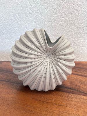 Vase White Sea Snail