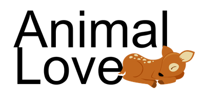 Animal Love