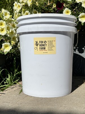 Wisconsin Clover Honey - 60lb bucket