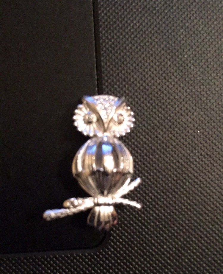 Owl - Sterling Silver cage pendant