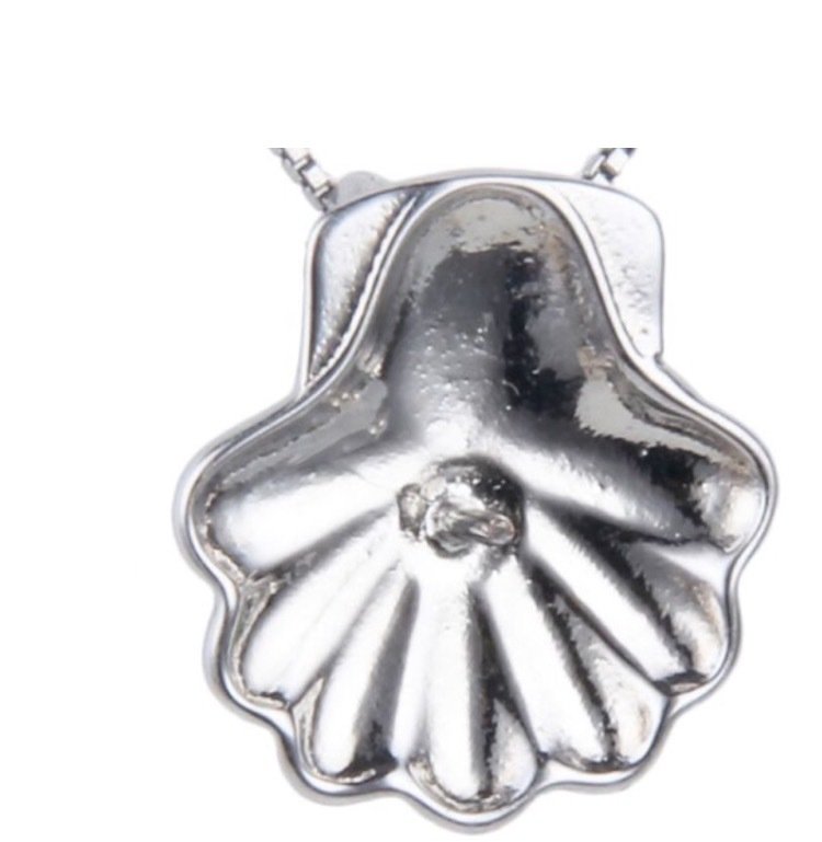 Clam Shell - Sterling Silver mounted pendant