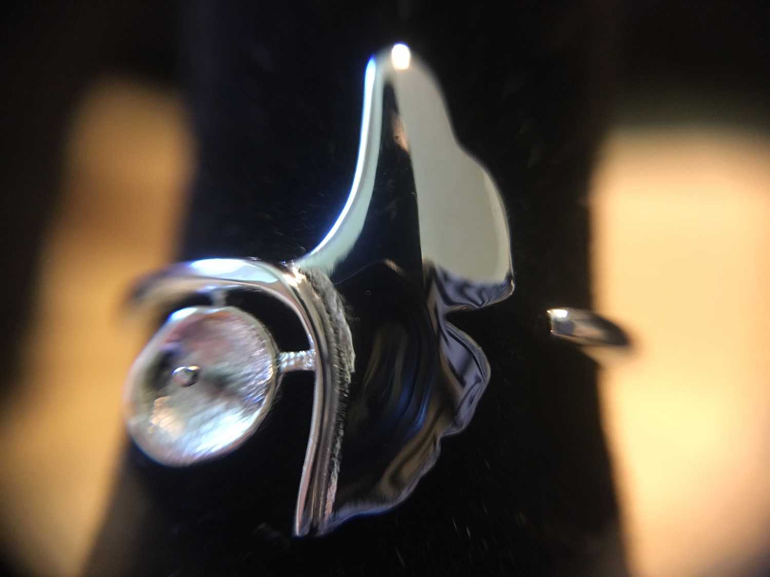 Mermaid Tail Setting 