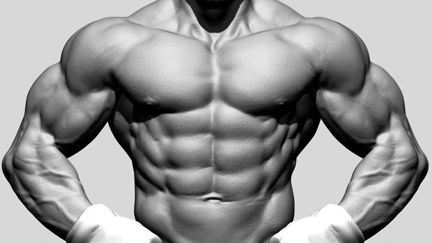 Best Legal Steroids: A Comprehensive Guide