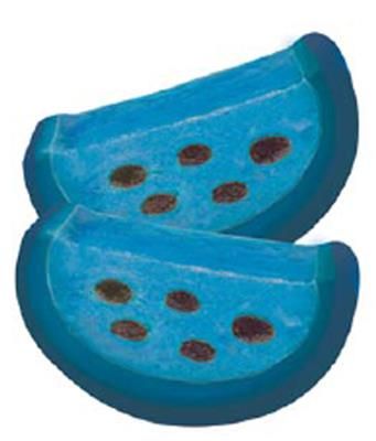 Blueberry Slices