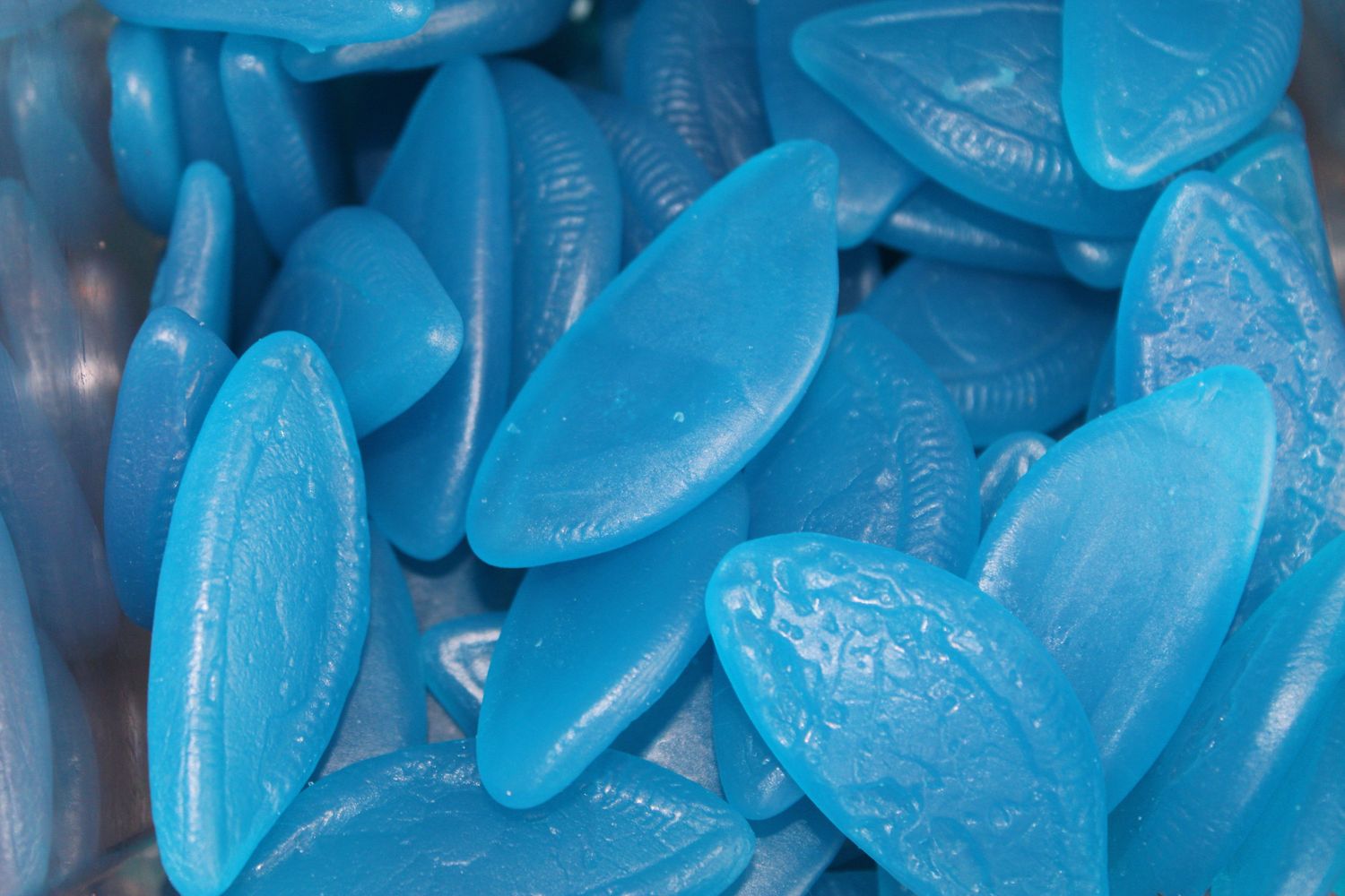 Blauwe Ogen Snoep – Bosbessensmaak