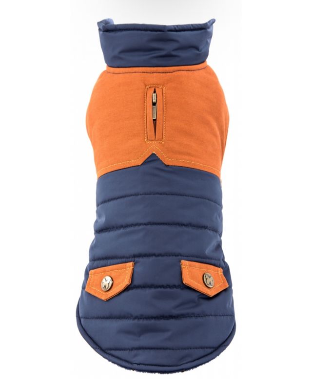 Manteau dog division bleu et camel Alter Ego - Martin Sellier