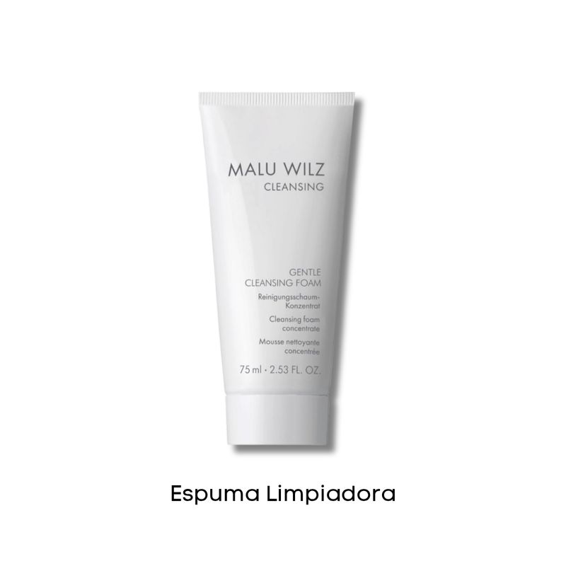 Limpiadora en espuma