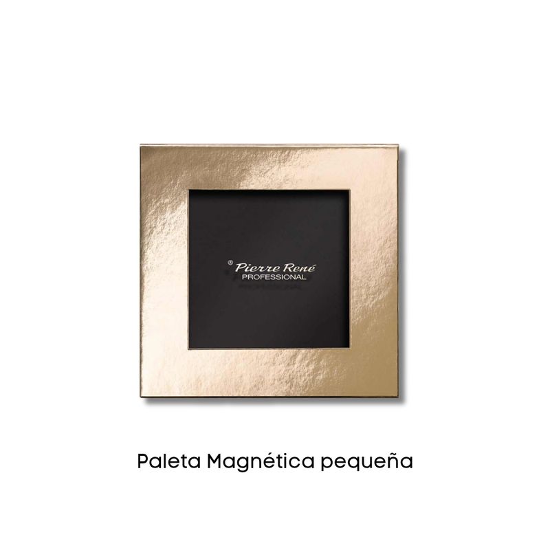 Paleta Vacía Gold 9 colores    "Palette Match System"