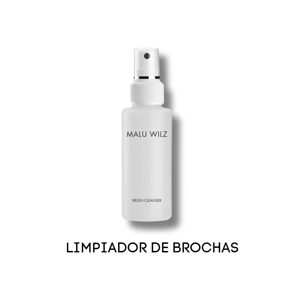 LIMPIADOR DE BROCHAS EN SECO